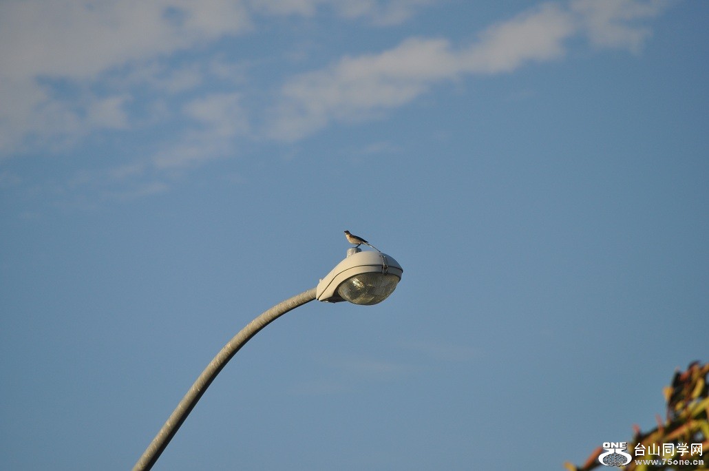 DSC_0084.JPG