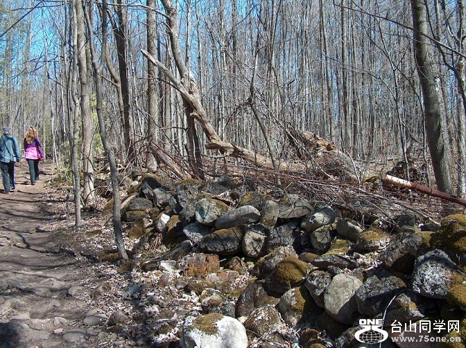 bht11.jpg