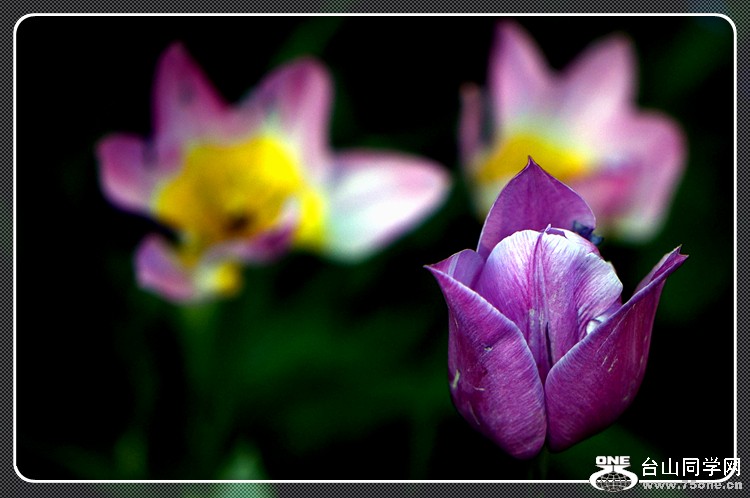 dsc_1015.jpg