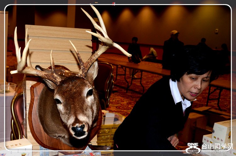dsc_0073a.jpg