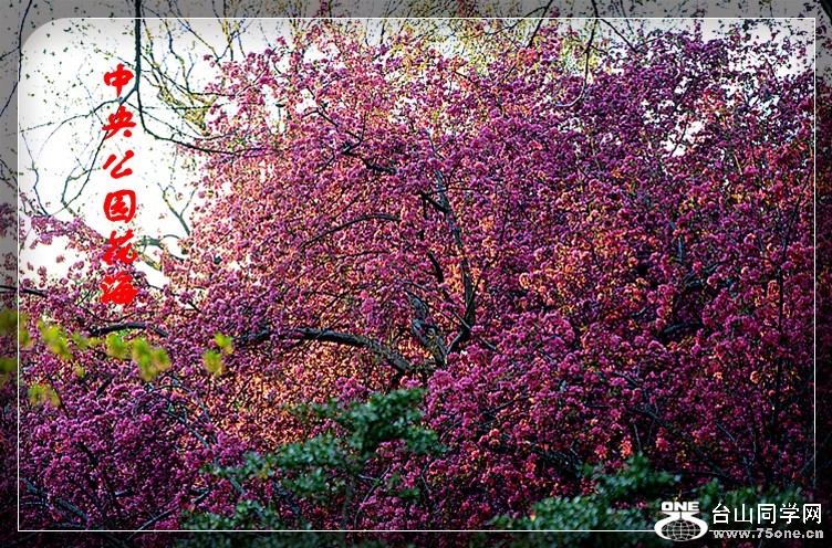 dsc_0696_conew1.jpg