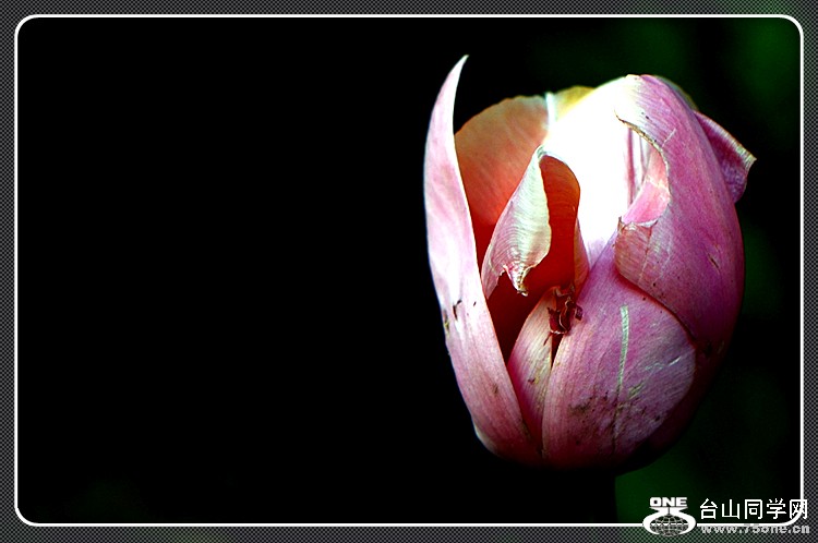 dsc_1016.jpg
