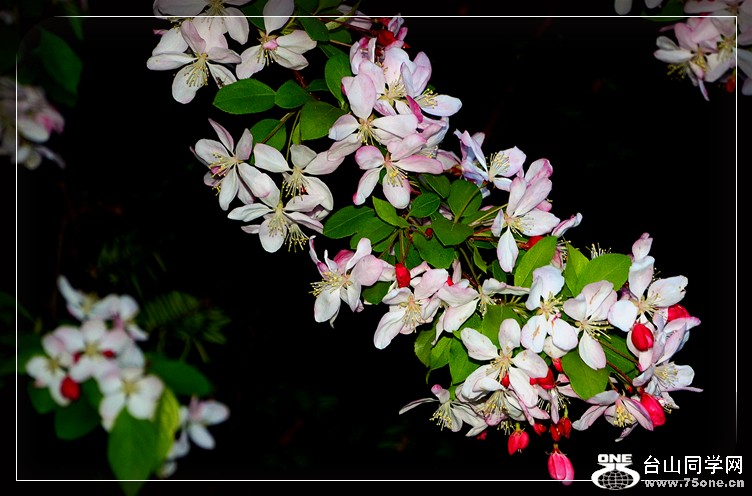 dsc_0688.jpg