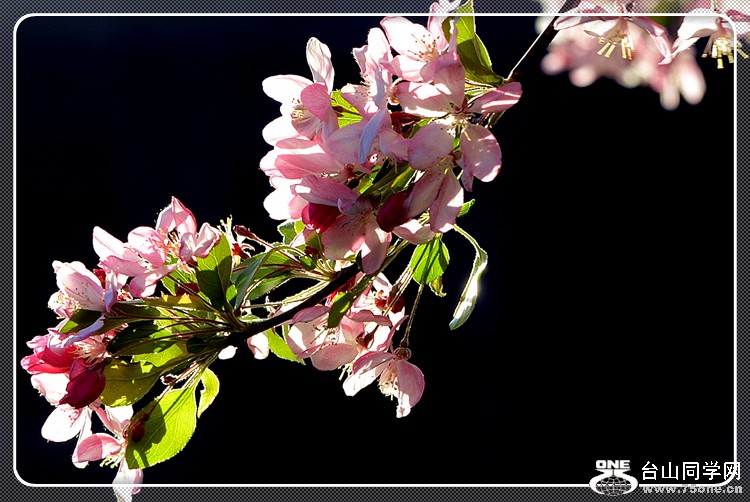 dsc_0741.jpg