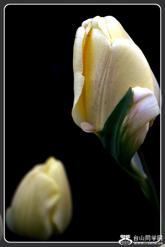 dsc_1028.jpg
