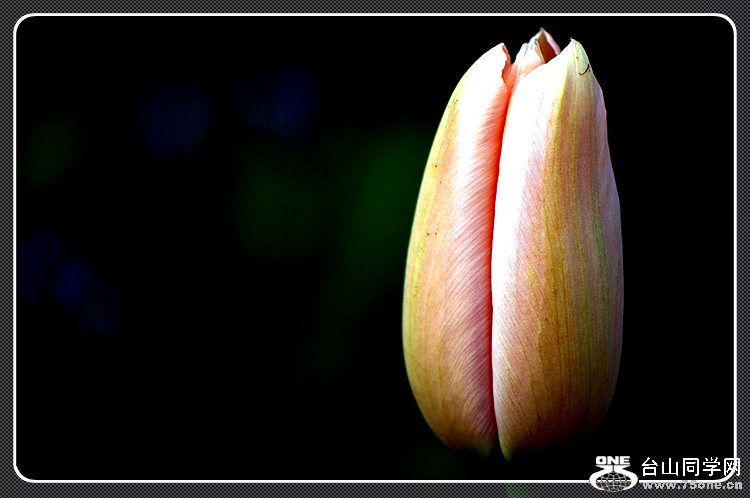 dsc_1017.jpg