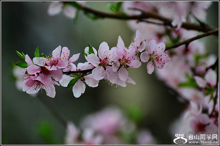 DSC_9130.jpg
