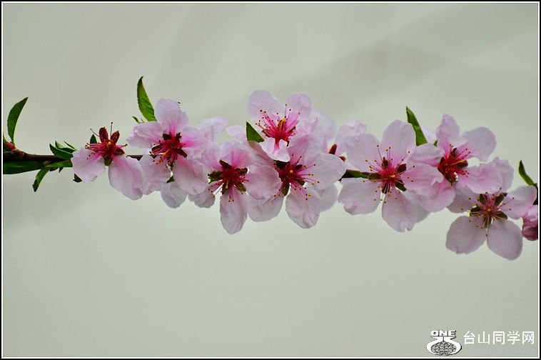DSC_9148.jpg
