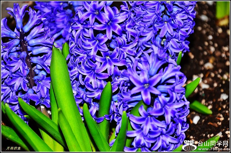DSC_9978.jpg