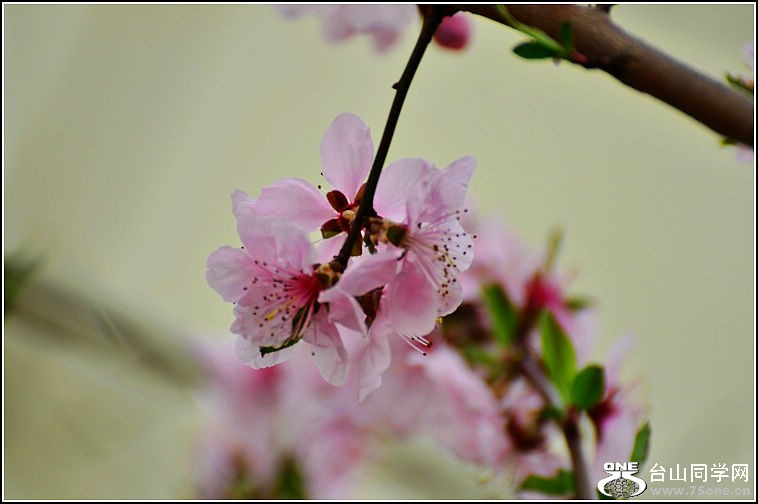 DSC_9100.jpg