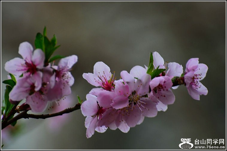 DSC_9113.jpg