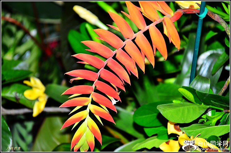 DSC_9882.jpg