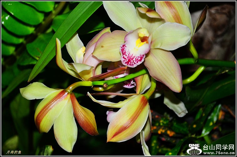 DSC_9887.jpg