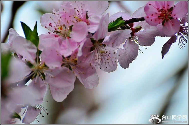 DSC_9104.jpg