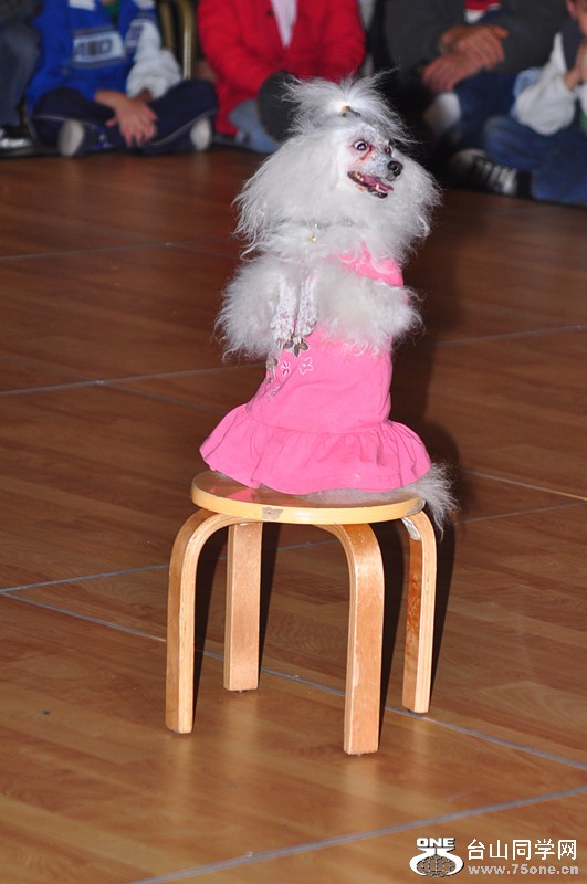 DSC_0431_.jpg