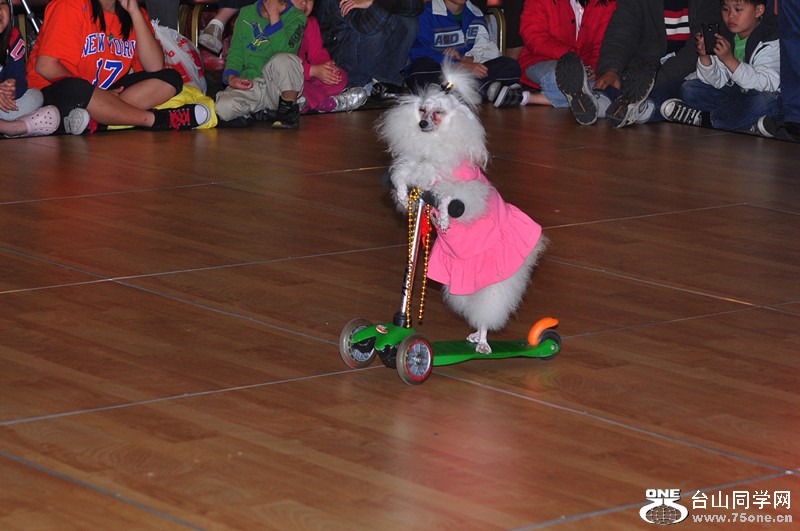 DSC_0439_.jpg
