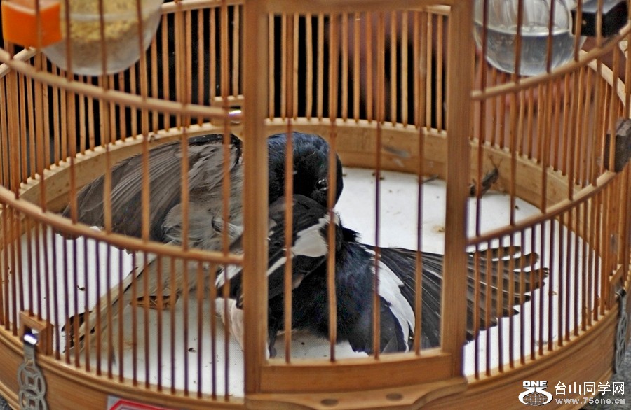 Ƭ 0541.jpg