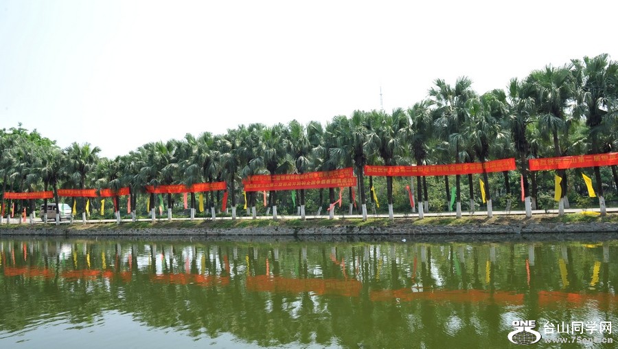 Ƭ 0801.jpg