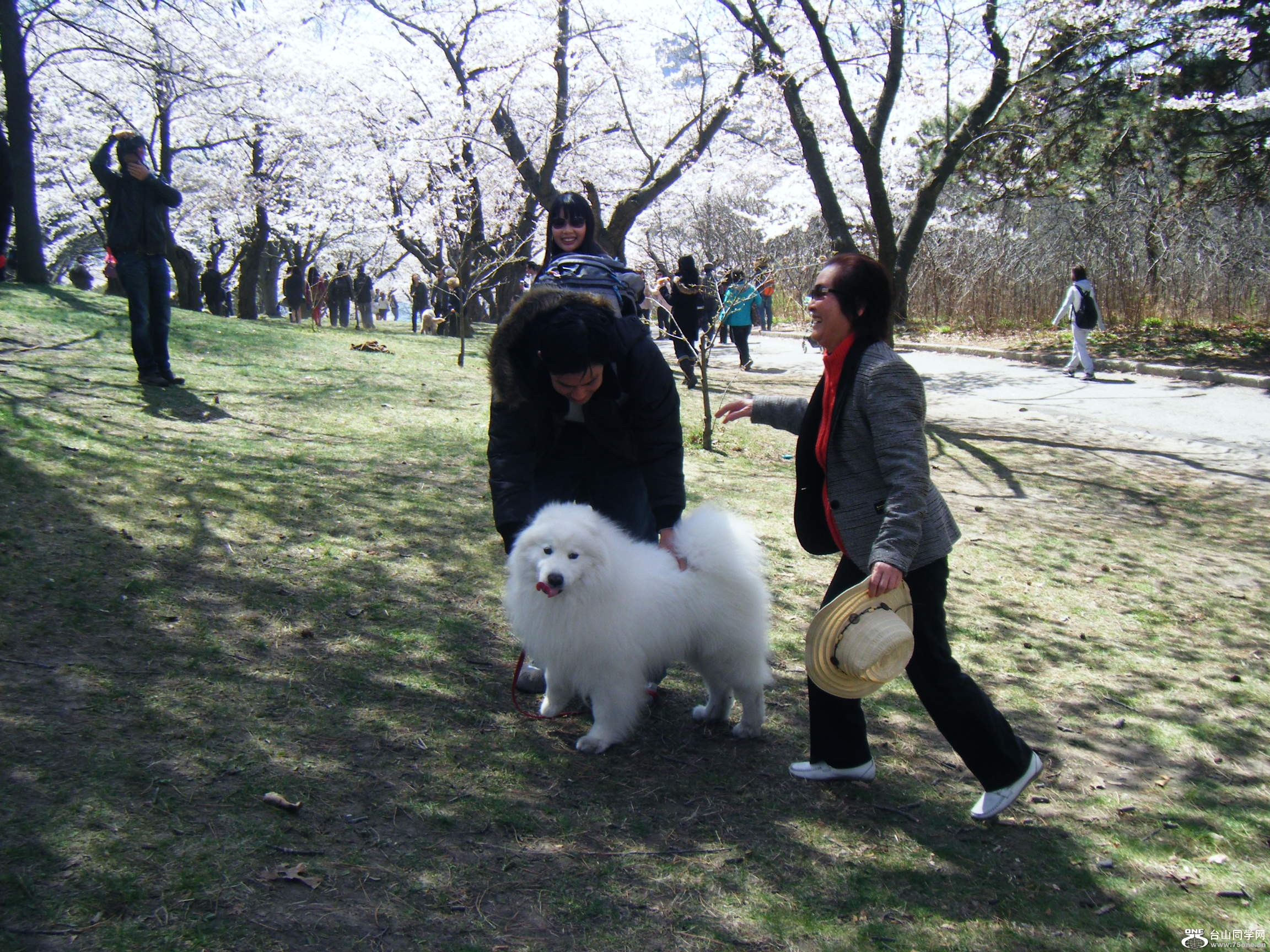 High Park @һ[4-13 363.JPG