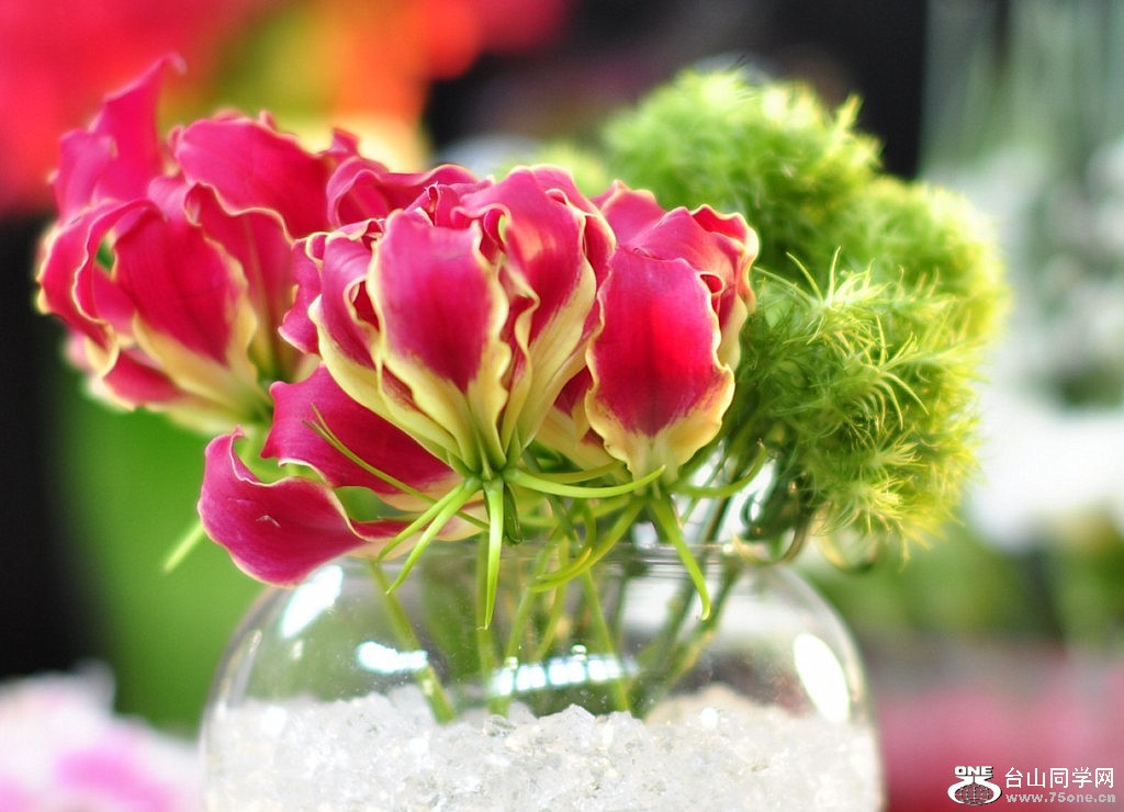 _DSC0374 [1024x768].JPG