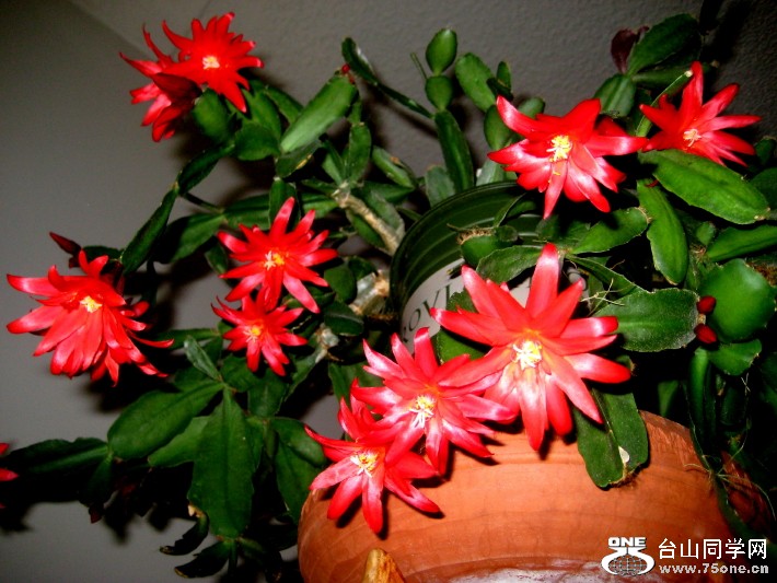 IMG_0001_342.jpg