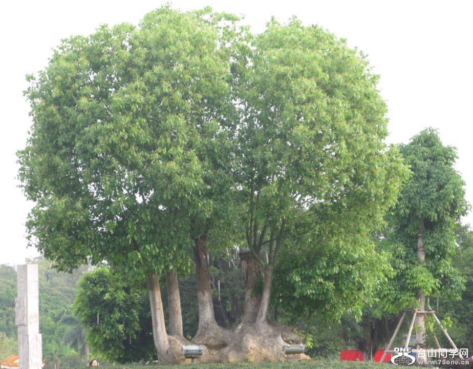 46.jpg