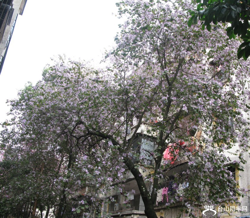 112.jpg