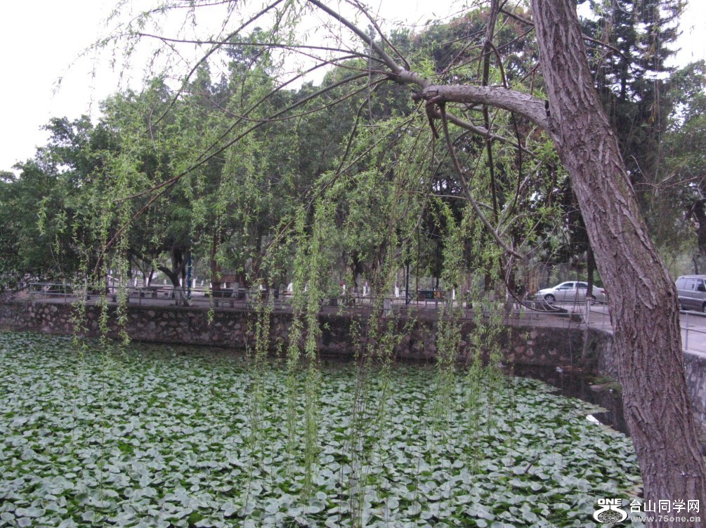 146.jpg