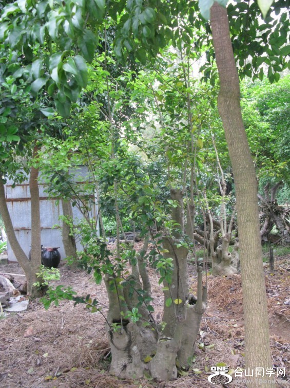 108.jpg