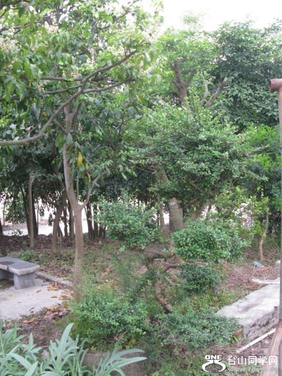 105.jpg