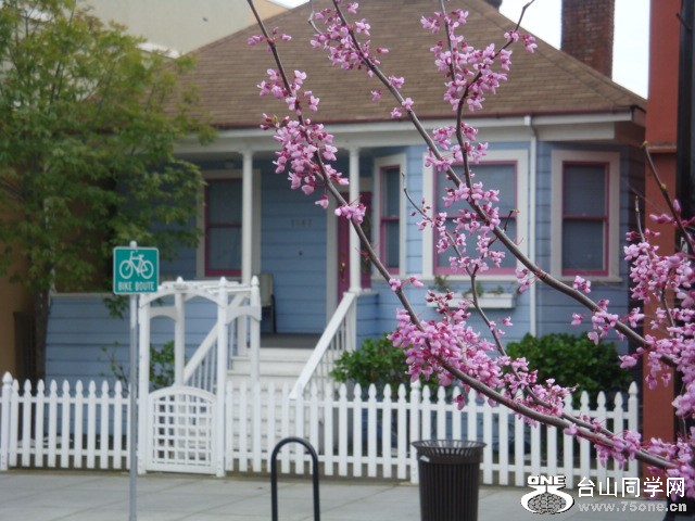 DSC02106.JPG