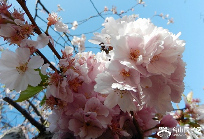 TP9LNCA3EA32ZCAX400RCCAHQ5B2XCADCK1K2CAO2KC25CA4DY3M5CA1LVN6DCALQ7T07CA6YE2WBCAOK6UIICAEIRN1SCA8DWV