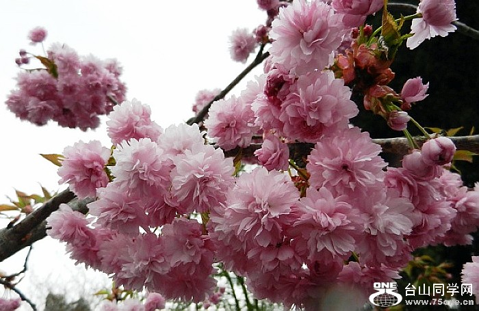 RQSMKCAI2Q6I5CASAJOMBCAXWZI1MCABLAXCJCAECL1JTCA8U9KMBCATGWNEMCARPAONTCAXJ7N1PCAJUKLOOCAKOM4RNCAVZ3C