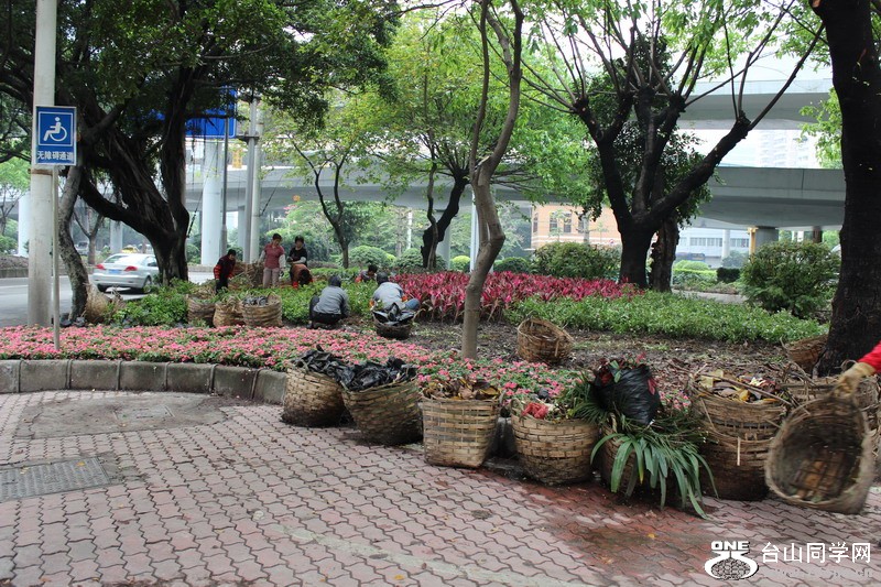 2012.4.10ɫ 017.jpg