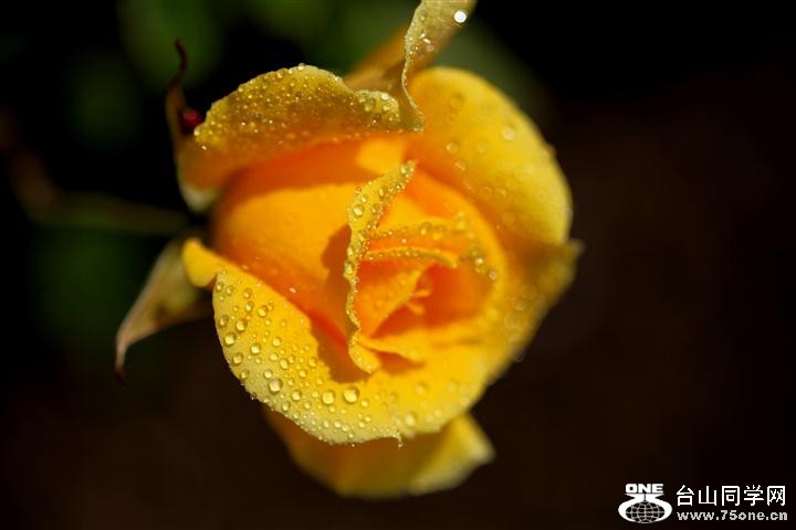 IMG_11722 (Small).jpg