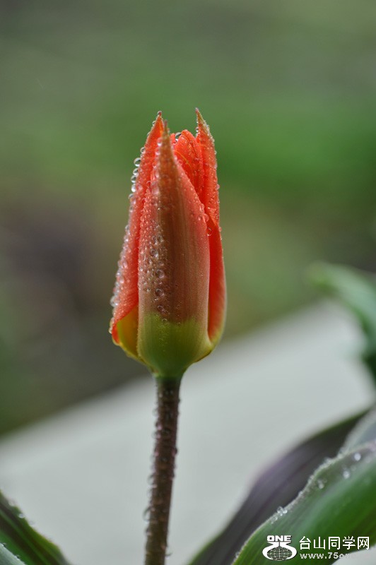 DSC_0671.jpg