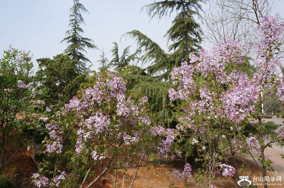 12.4.9ʳ·߾ 020.jpg