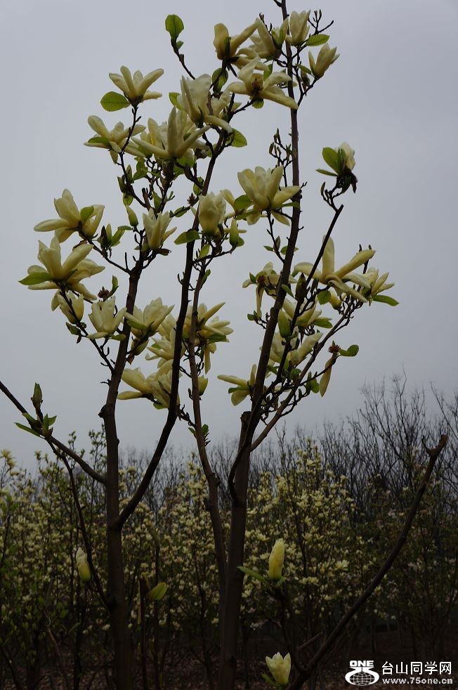 12.4.10ʳʪع԰ 048.jpg