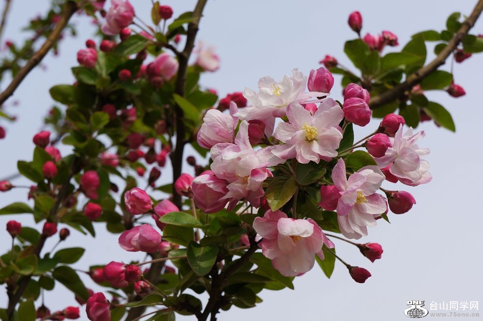 12.4.9ʳ·߾ 008.jpg