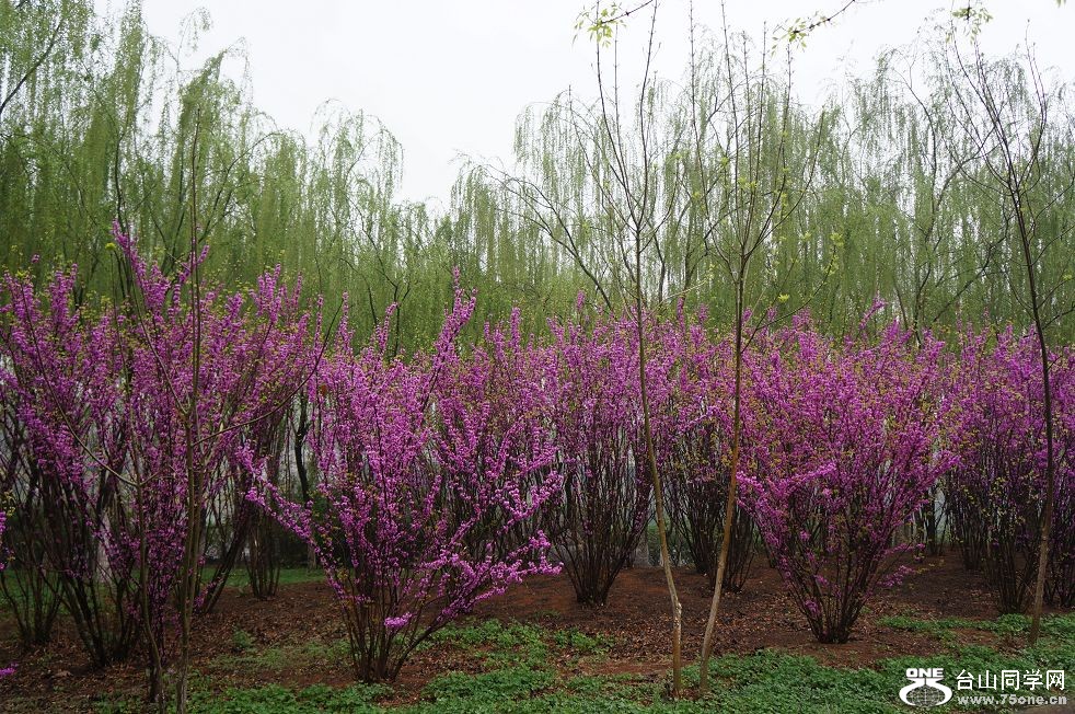 12.4.10ʳʪع԰ 022.jpg