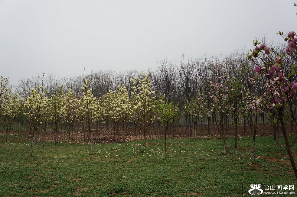 12.4.10ʳʪع԰ 047.jpg