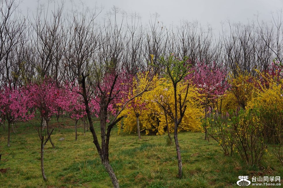 12.4.10ʳʪع԰ 054.jpg