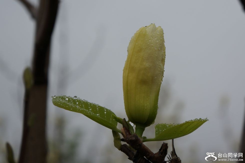 12.4.10ʳʪع԰ 050.jpg