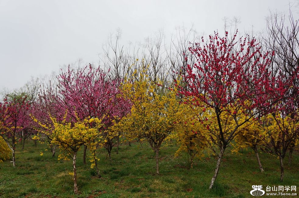 12.4.10ʳʪع԰ 057.jpg