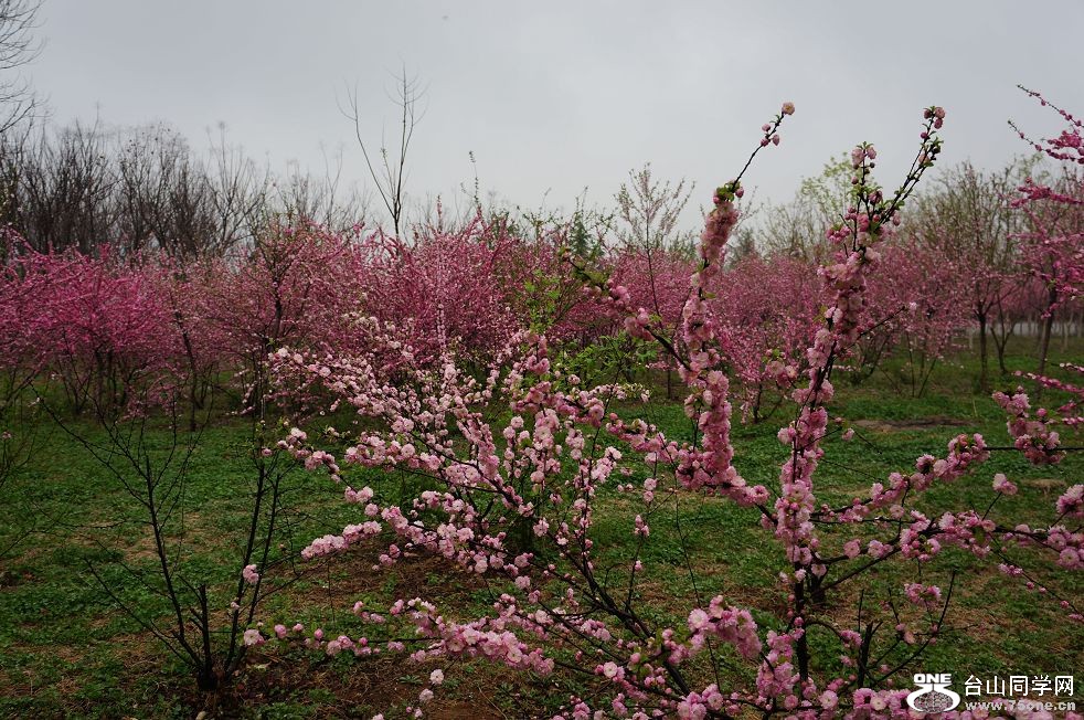 12.4.10ʳʪع԰ 064.jpg