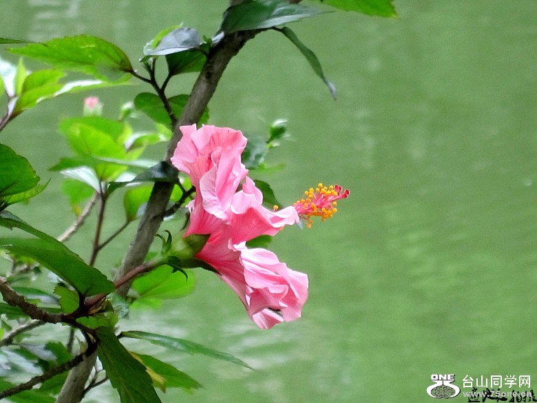 ϴ塢 164_conew1.jpg