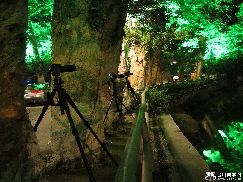 麣12325 238_conew1.jpg