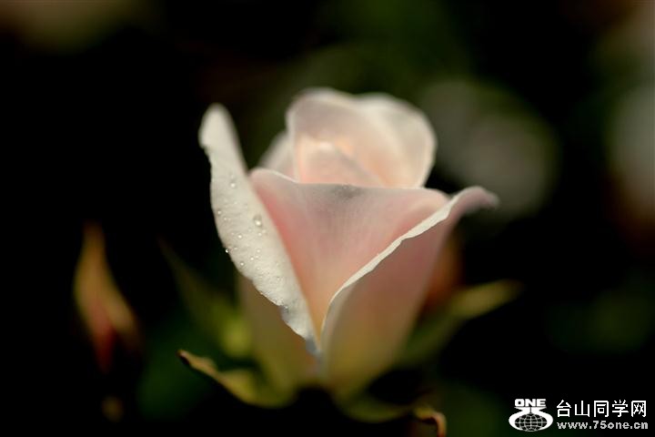 IMG_11744.jpg1 (Small).jpg