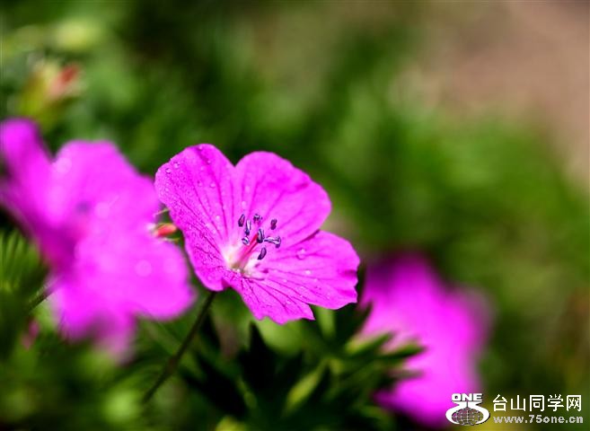 IMG_13211 (Small).jpg