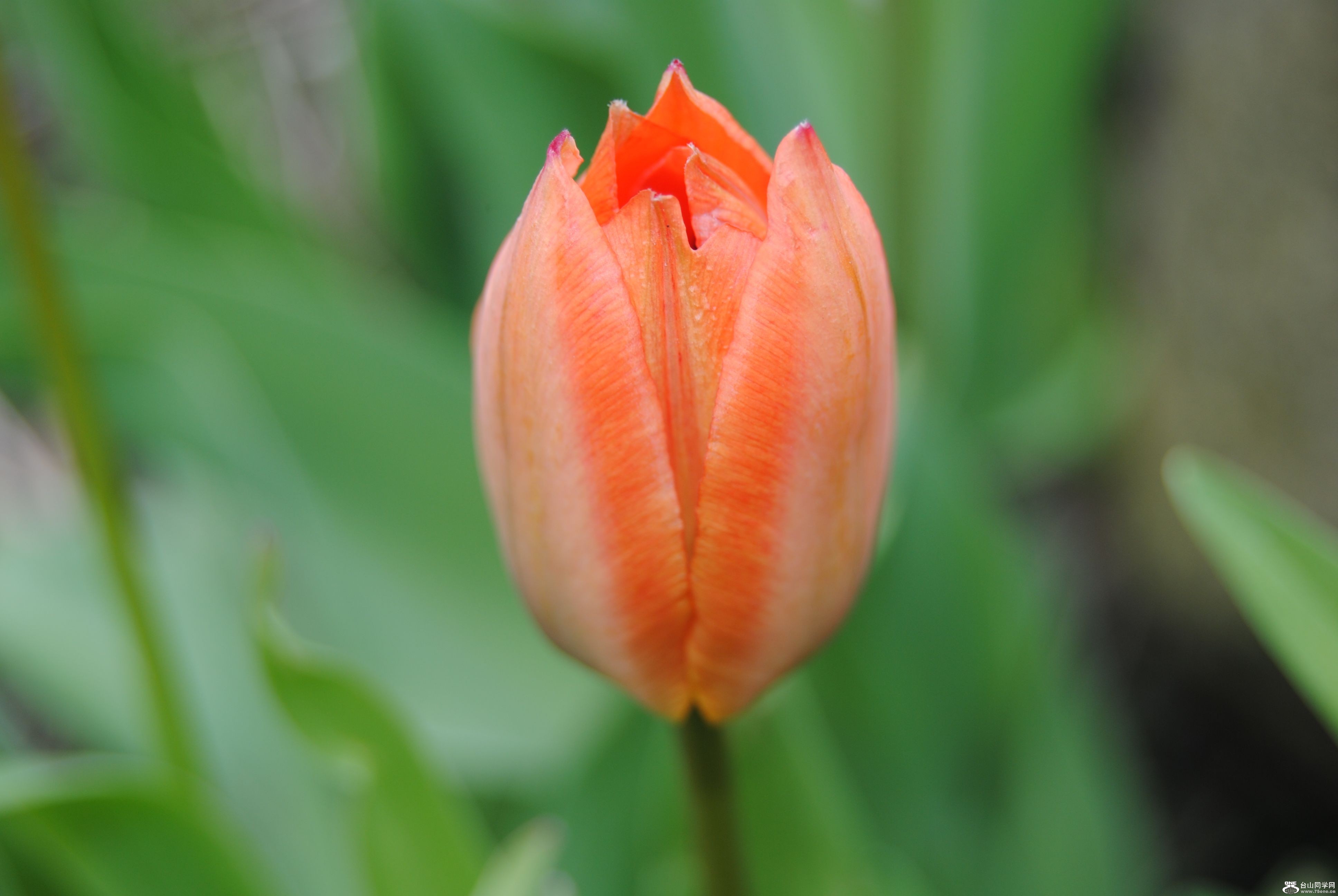 DSC_119.jpg